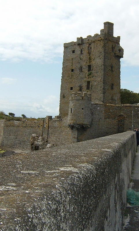 Carrigoholt Castle 1.JPG
